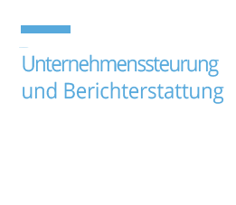 SLT unternehmenssteurung und berichterstattung