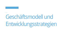 geschaftsmodell un entwicklungsstrategien