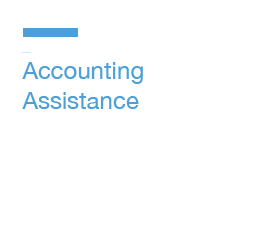 Accounting Assistance