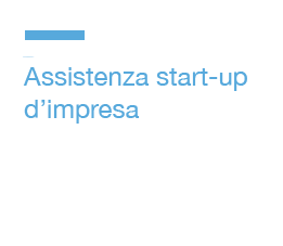 assistenza startup