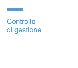 Servizio di controllo di gestione