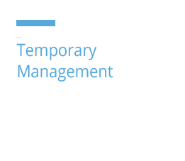 temporary management DE