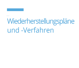 wiederherstellungsplane und verfahren